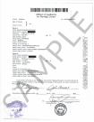 Certified Copy of Marriage License (Affidavit of Application) Clark County